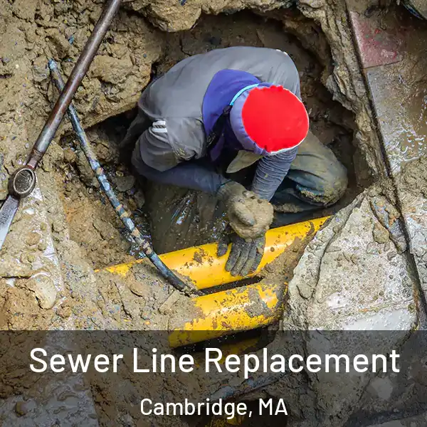  Sewer Line Replacement Cambridge, MA